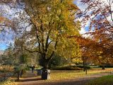 Chapelfield Gardens