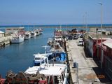 Margherita di Savoia
