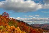 Autumn View 
