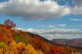 Autumn View 