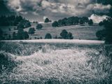 P1170209-Edit-Edit.jpg