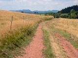 P1170235-Edit-4.jpg