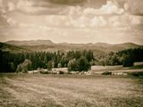 P1170247-Edit-Edit-2-2.jpg
