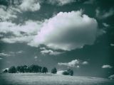P1170285-Edit-2-Edit.jpg