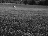 P1170286-Edit.jpg