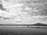 P1180156-Edit.jpg