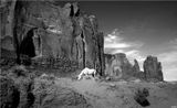 Land of the Navajo