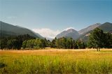 Rocky Mountain National Park Tree Line