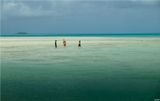 Walking On a Coral Reef