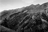 Ridges