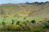 Cattle Country Series