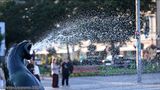 Seal fountain