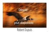 no 132_p_plus disponible.jpg