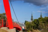 IMG_2599_p.jpg