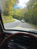 IMG_4972.jpeg