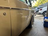 IMG_5215.jpeg