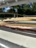 IMG_5168.jpeg