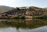 Vire sur le Douro</br>de Regua  Pinho