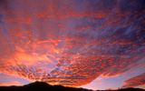 Altocumulus sunset, Mingus Mountain, Cottonwood, AZ