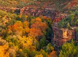Oak Creek Canyon near Midgely Bridge, Sedona, AZ