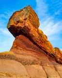 Petrified log, Petrified Forest National Park, AZ
