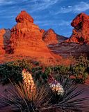 Entrance to South Coyote Buttes Wilderness, Paria Plateau, AZ