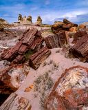 Petrified Forest National Park, AZ