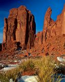 Yuccas and Butte, Monument Valley, Navajo Tribal Park, AZ/UT