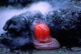 Pahoehoe toe outbreak, Kalapana Gardens, HI