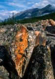 Rock slide of Gog Quartzite, Endless Chain Range, Banff National Park, Alberta, Canada