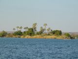 DSCN0428.JPG