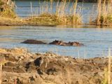 DSCN0479.JPG