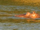 DSCN0484.JPG