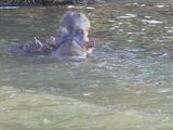 DSCN0524.JPG