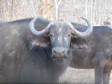 DSCN0759.JPG