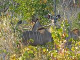 DSCN0761.JPG