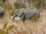 DSCN0835.JPG