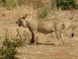 DSCN0965.JPG