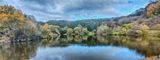 Mt Lofty Botanic Gardens