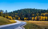 Road to the North Rim