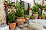The Clay Planters