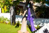 Ghosts Dead or Alive
