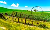 Palouse, Washington