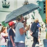 Life on Hollywood Boulevard