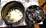 LAnvers du Dcor - Couldnt Finish All the Mussels