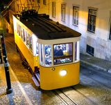 Tram on Calada da Glria, from Miradouro de So Pedro de Alcntara, Lisbon