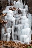 Natural ice sculpture on the Perkiomen Trail