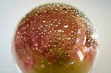 The Glass Apple