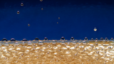 Sand, water, air, and light
