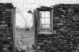 Forgotten